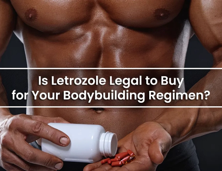 Is Letrozole Legal to Buy for Your Bodybuilding Regimen?