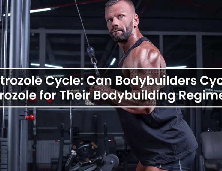 Letrozole Cycle: Can Bodybuilders Cycle Letrozole for Their Bodybuilding Regimen?