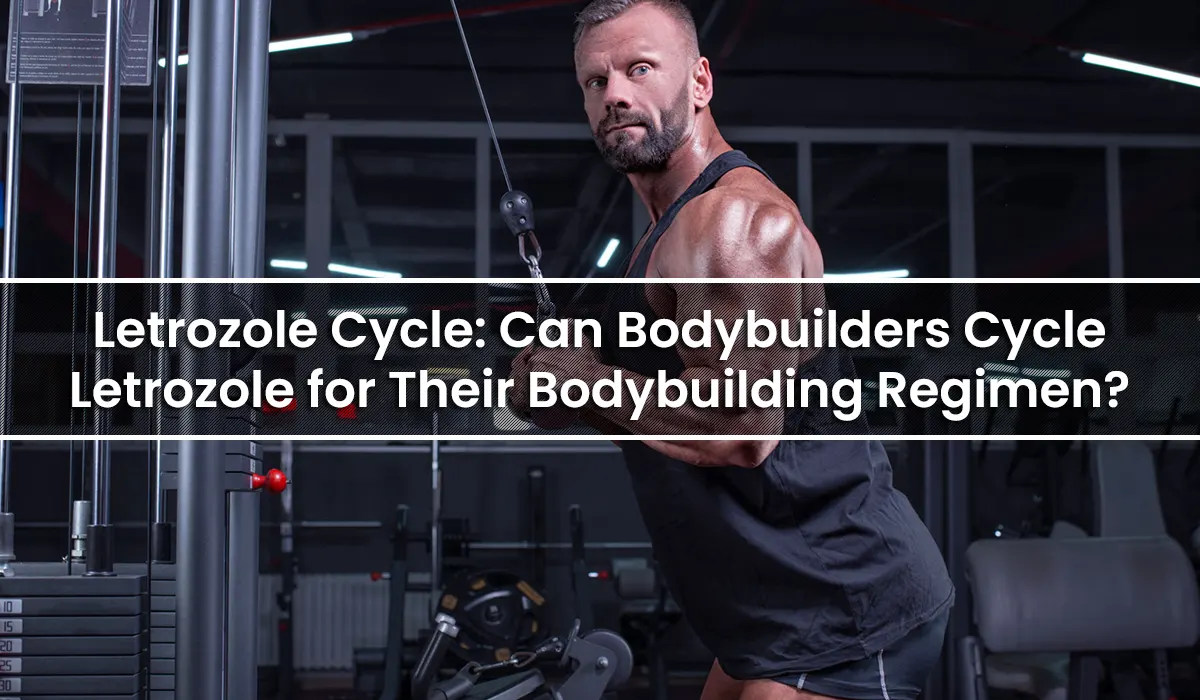 Letrozole Cycle: Can Bodybuilders Cycle Letrozole for Their Bodybuilding Regimen?