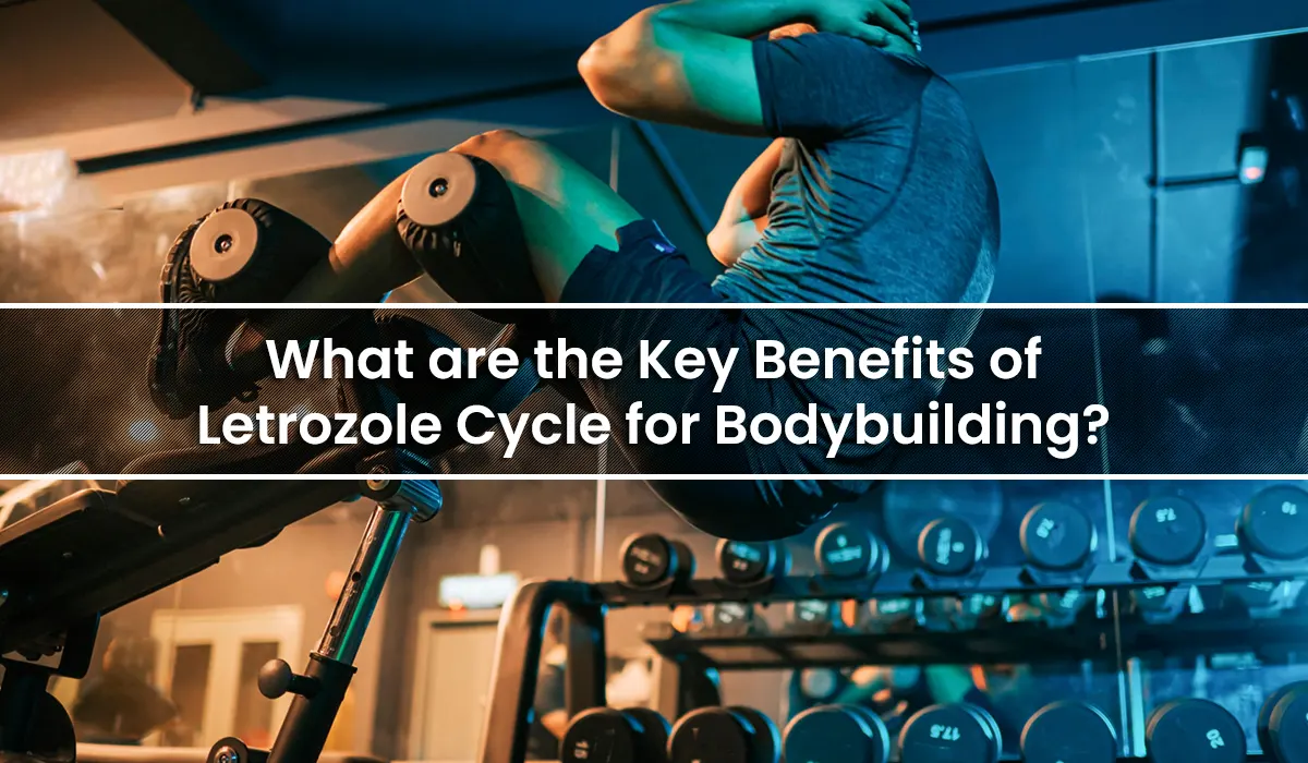 What are the Key Benefits of Letrozole Cycle for Bodybuilding?
