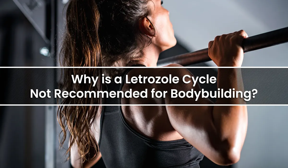 Why is a Letrozole Cycle Not Recommended for Bodybuilding?
