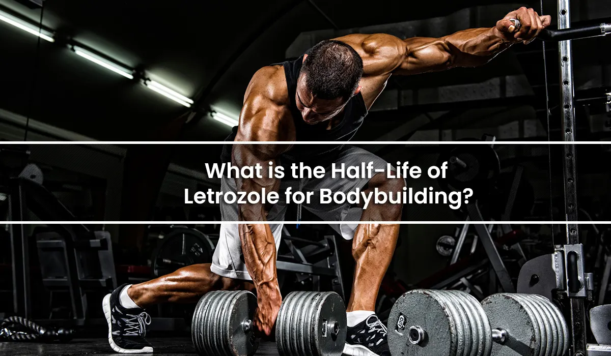 What is the Half-Life of Letrozole for Bodybuilding?