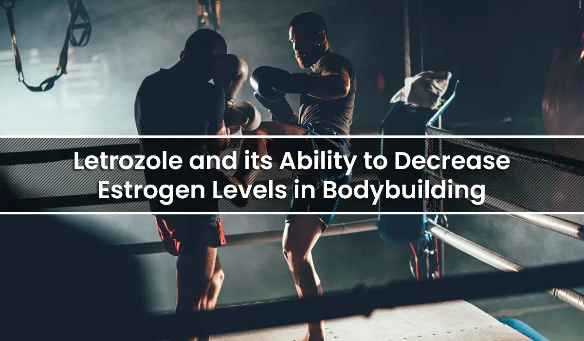 etrozole for Bodybuilding