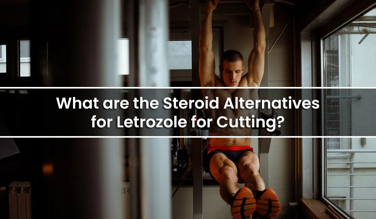 What are the Steroid Alternatives for Letrozole for Cutting?