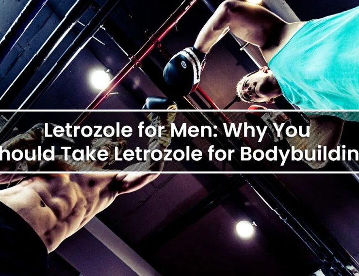 Letrozole for Men