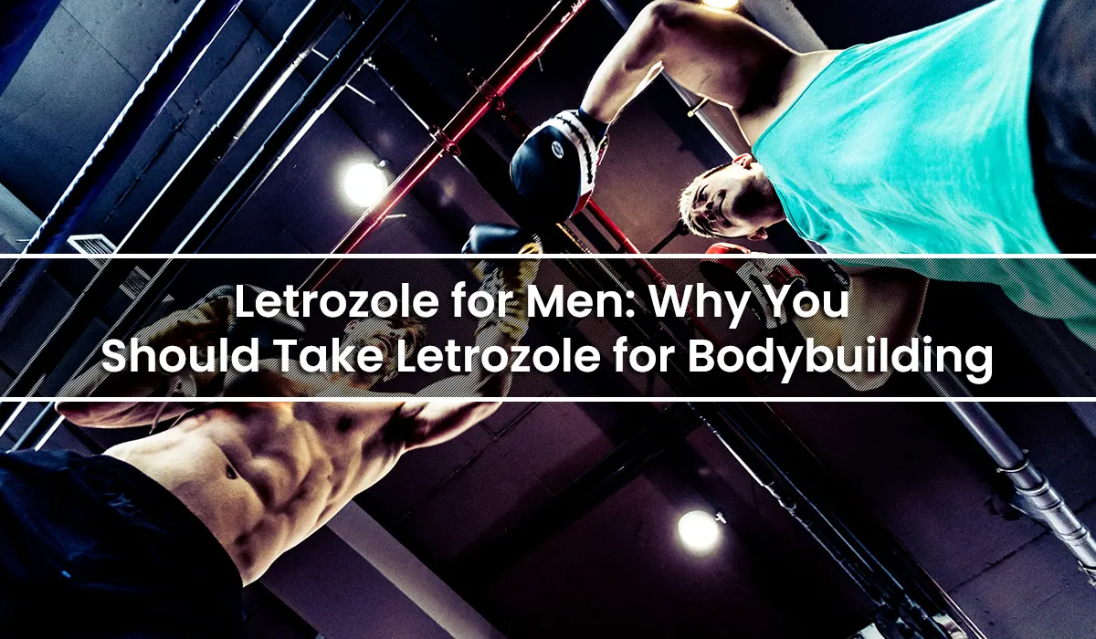 Letrozole for Men