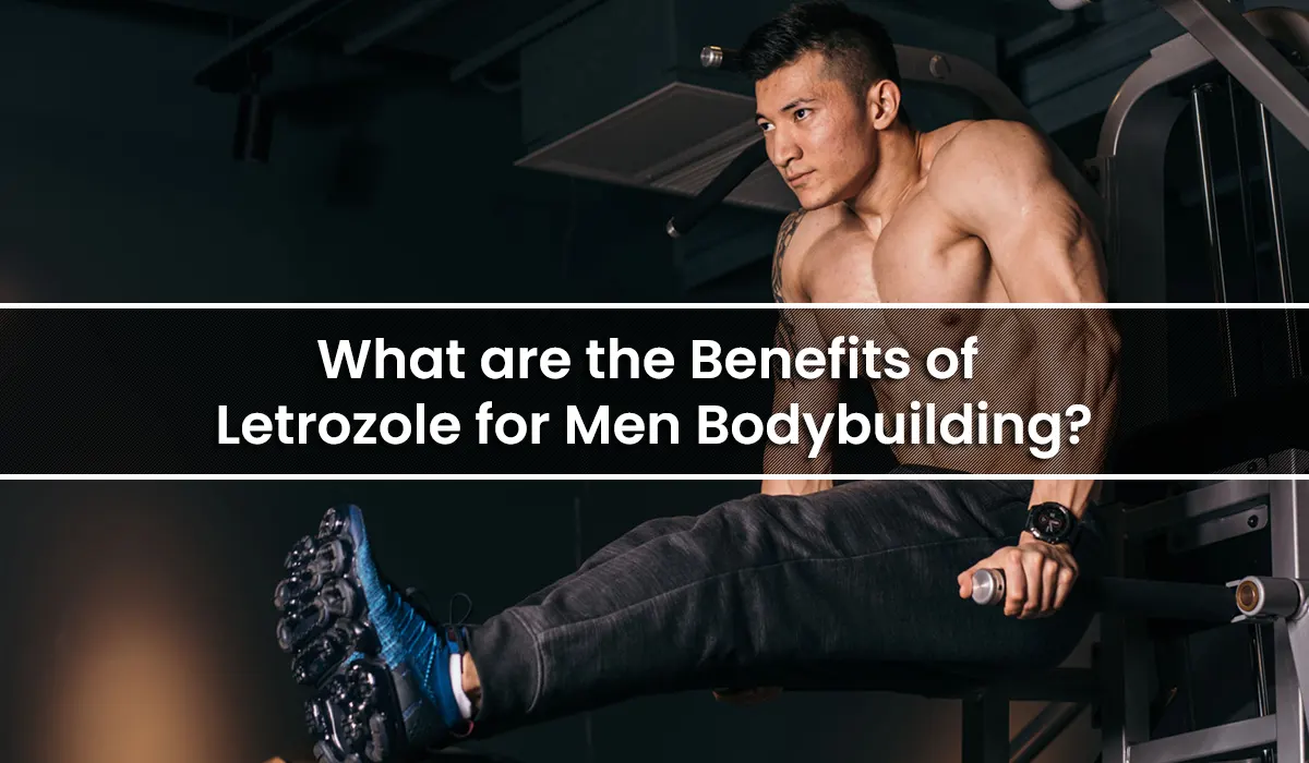 What are the Benefits of Letrozole for Men Bodybuilding?